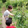 Noosuのプロフィール