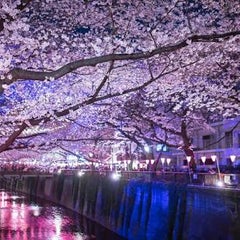 まーたんのプロフィール
