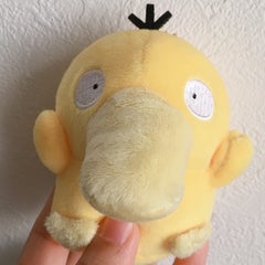 櫻和のプロフィール