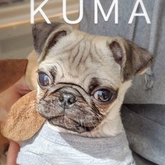 リセぼんのプロフィール