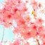 ひかりんのサムネイル