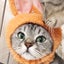 ヒノピオのサムネイル