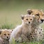 39kokokaraのサムネイル