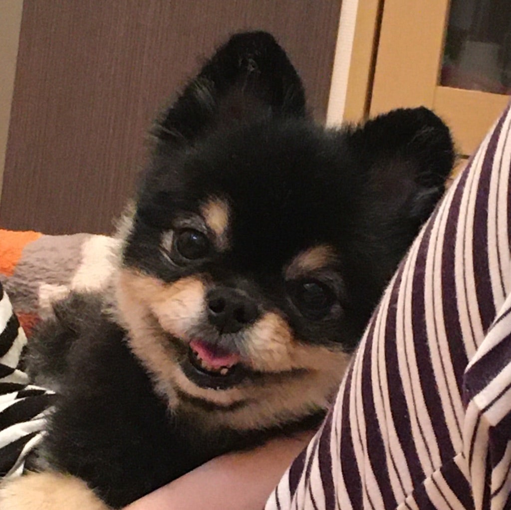 ゆかん
