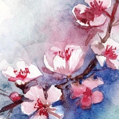 cheri-bのプロフィール
