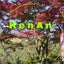 KenAnのサムネイル