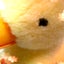 ちぼのサムネイル