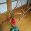 ottotoのサムネイル