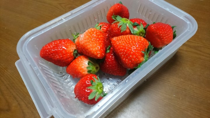 りんごまるかじり えなのブログ