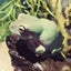 エポくんのサムネイル