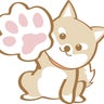 SHINOのプロフィール