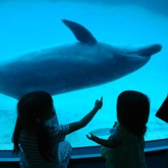 ellyのプロフィール