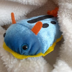 海野なまこのプロフィール
