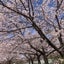 mmko1002のサムネイル