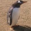 hassyのサムネイル