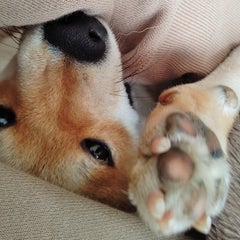 Keyのプロフィール