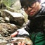 gyosansakanaのサムネイル