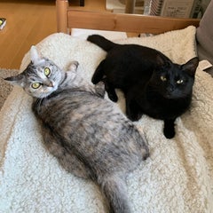 えりちんのプロフィール