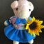 kantigainobutakoのサムネイル