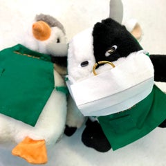 みどりスーパーのプロフィール