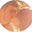 marriedhappylifeのサムネイル