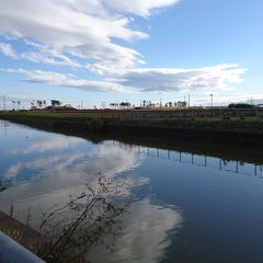 ariaのプロフィール