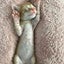 飼育子のサムネイル