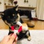 ぴるのサムネイル