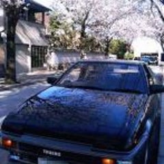 さくらのプロフィール