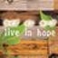 画像 live in hope ライブ・イン・ホープ 札幌市中央区指定の障害者福祉サービス就労継続支援B型事業所のブログのユーザープロフィール画像