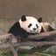 omoinomamaniのサムネイル