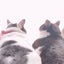 のりたまのサムネイル