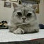 のののサムネイル