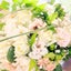 beautyrippleのサムネイル