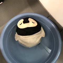 ぺんきちのプロフィール