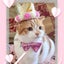 My precious milkのサムネイル