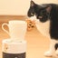 ぶちねこのサムネイル