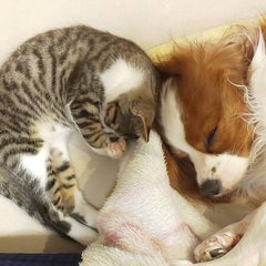 eriのプロフィール