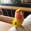 Rima09のサムネイル