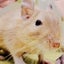 Yuki358のサムネイル