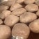 こんにゃく料理専門店　鹿沼市『おこんにゃく茶屋』蒟蒻スイーツ蒟蒻そば　蒟蒻作り体験等