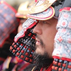 鎌倉智士のプロフィール