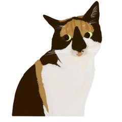 子猫のひげが折れたらどうなるー 三毛猫 はな のブログ 子猫のひげが折れたらどうなるー 三毛猫 はな のブログ