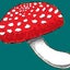 dokukinoko2202のサムネイル