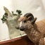 ken87のサムネイル