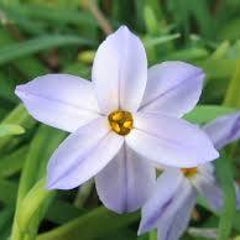 点なし原なんです 50代 二人暮らし始めます 点なし原なんです 50代 二人暮らし始めます