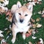 jacky0820のサムネイル