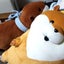 mi(*ω*)のサムネイル