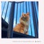 画像 わたしと5匹の猫のユーザープロフィール画像