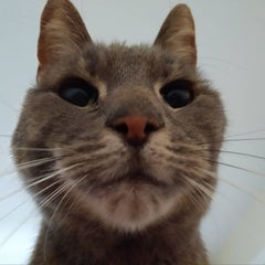 satoのプロフィール